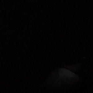 Meet your Posher, Playamadee